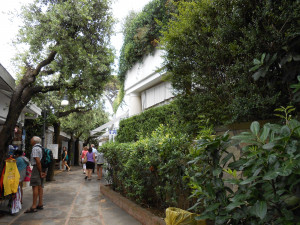 Narrow Path Leading Towards