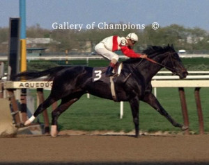 Ruffian 23 Of 300 More Ruffian Pictures