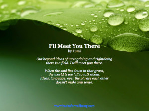 Rumi - I'll Meet you There