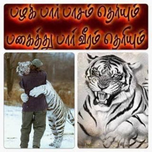 Labels: Tamil , Tamil Quotes