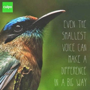 ... in a big way. #quotes #instaquotes #wordstoliveby #bird #macro #cuipo
