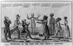 Abolitionism and Political Mobilization