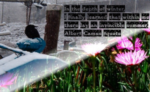 Tuesday, 7 June 2011