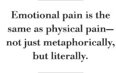 Emotional pain is the same as physical pain—not just metaphorically ...