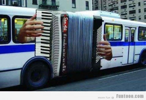 funny bus image