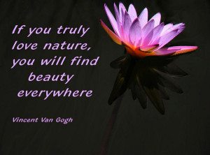 if-you-truly-love-nature-you-will-find-beauty-everywhere-water-quote ...