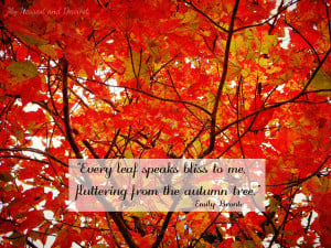 fall quotes with beautiful fall photos. I love this one about autumn ...