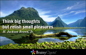 Think big thoughts but relish small pleasures. - H. Jackson Brown, Jr.