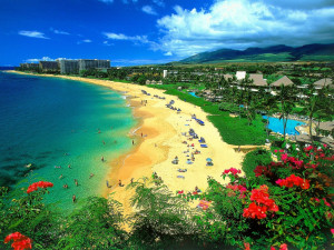 hawaiian life