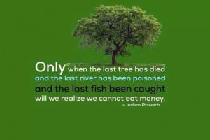 Indian proverb