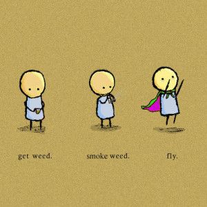 funny herb smoking weed have fun fun fly