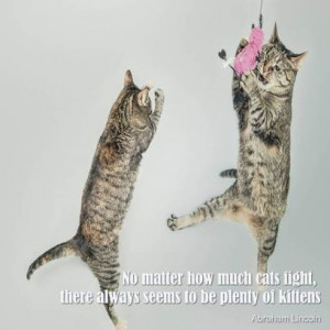 Cat Quotes That Will Make You Hug Your Cat Right Now