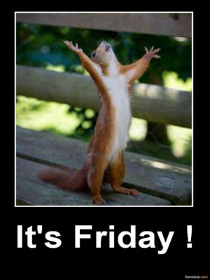 its friday quotes funny