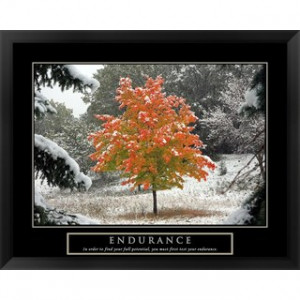 Handmade 'Endurance - Fall Tree' Framed Art Today: $147.99 Add to Cart