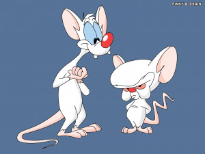 Pinky and the Brain and Tom and Jerry are now brands in Nigeria