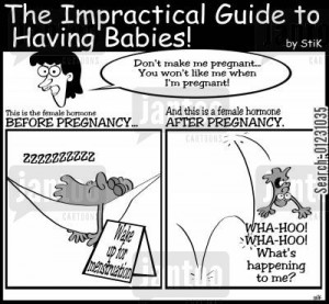 funny so a womans love pregnancy pregnancy hormones http cartoons