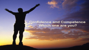 competence which one are you when you have high level of competence ...