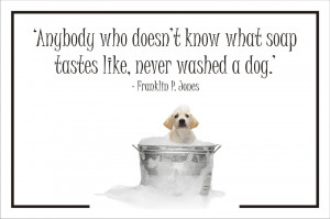 Dog Quotes Love And Loyalty