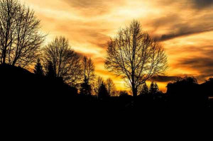 ... , but it took twenty years # quote by Monty Hall Quote about Life