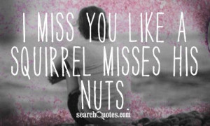 miss you like a squirrel misses his nuts