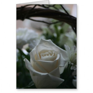 sympathy_card_white_rose_unique_greeting_cards ...