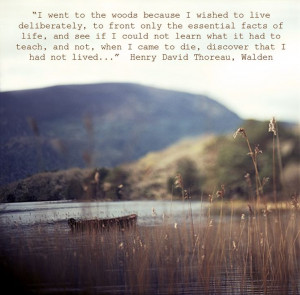 Henry David Thoreau - Walden all I ask