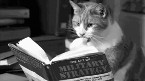 Reading cat gif