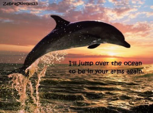Love Quote- Dolphin Pictures, Images and Photos
