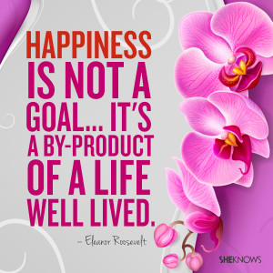 Hapiness is not a goal... it's a by-product of a life well lived