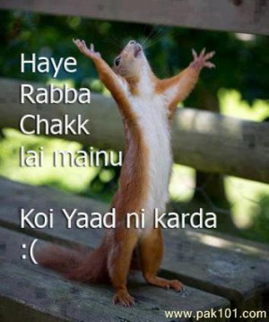 funny animal sayings