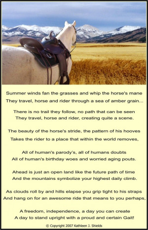 Horse Poems And Quotes Funny horse poems