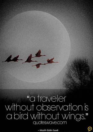 traveler without observation is a bird without wings.