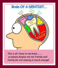 Brain of a dentist… #Dentist #Dental Jokes #Hygienist #miamidentist ...