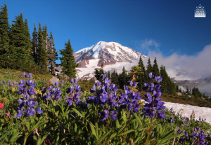 How do you inspire respect for something? By giving thanks.