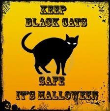 safe white cats too same reason in fact keep all cats safe as well as ...