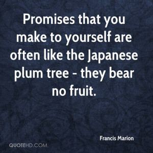 Promises that you make to yourself are often like the Japanese plum ...