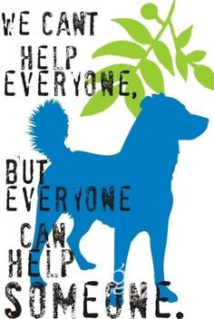 Volunteering Quotes Volunteer inspirational quotes