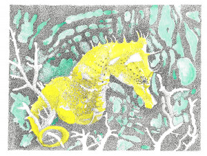 Drawing Seahorse Drawings