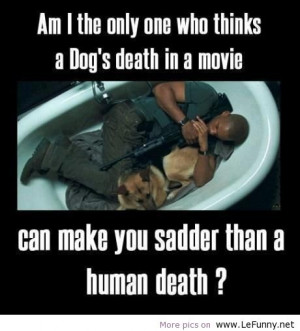 ... Most Beautiful #Dog #Death #Quotes That Will Bring Tears To Your Eyes