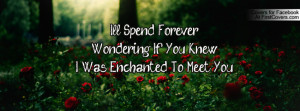 ll spend foreverwondering if you knewi was enchanted to meet you ...
