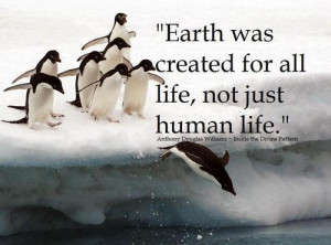 Earth was created for all life, not just human life.