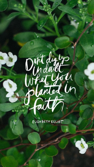 Dont Doubt In Faith You Dig Up What Planted