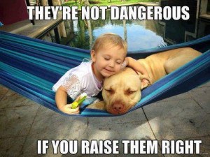Theyre not dangerous – dog meme