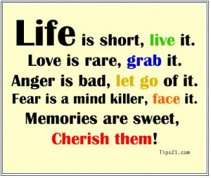 Life Is Short, Live It. Love Is Rare, Grab It. Anger Is Bad, Let Go Of ...