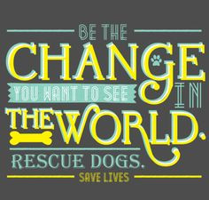 you want to see in the world. Rescue dogs. Save lives. Gandhi quote ...