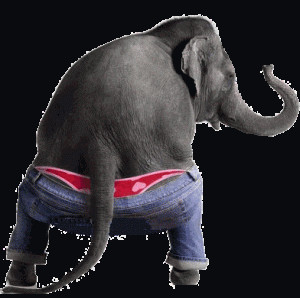Funny-Animated-Pictures-Animals-Elephant-Moving-Animations-300x298.gif