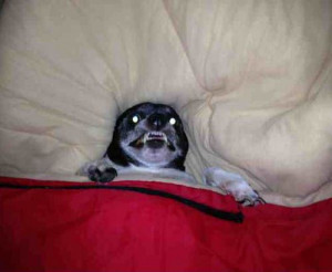 Going to bed after watching a scary movie