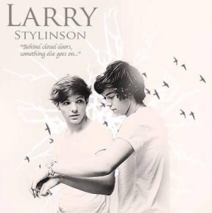 17 - Larry Stylinson quote