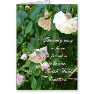 Pink Roses-Friendship Quote Cards