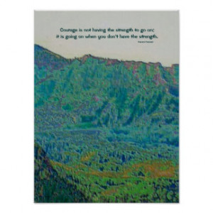 Theodore Roosevelt Quotes Posters & Prints